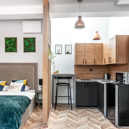 Modern Velvet Cathedral Square Studio Apartment Vilnius