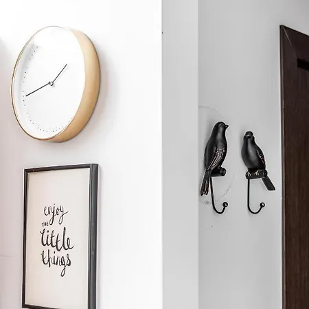 Modern Velvet Cathedral Square Studio Apartamento